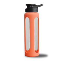 Portable Borosilicate Glass Drinking Water Bottle with Shaker Ball